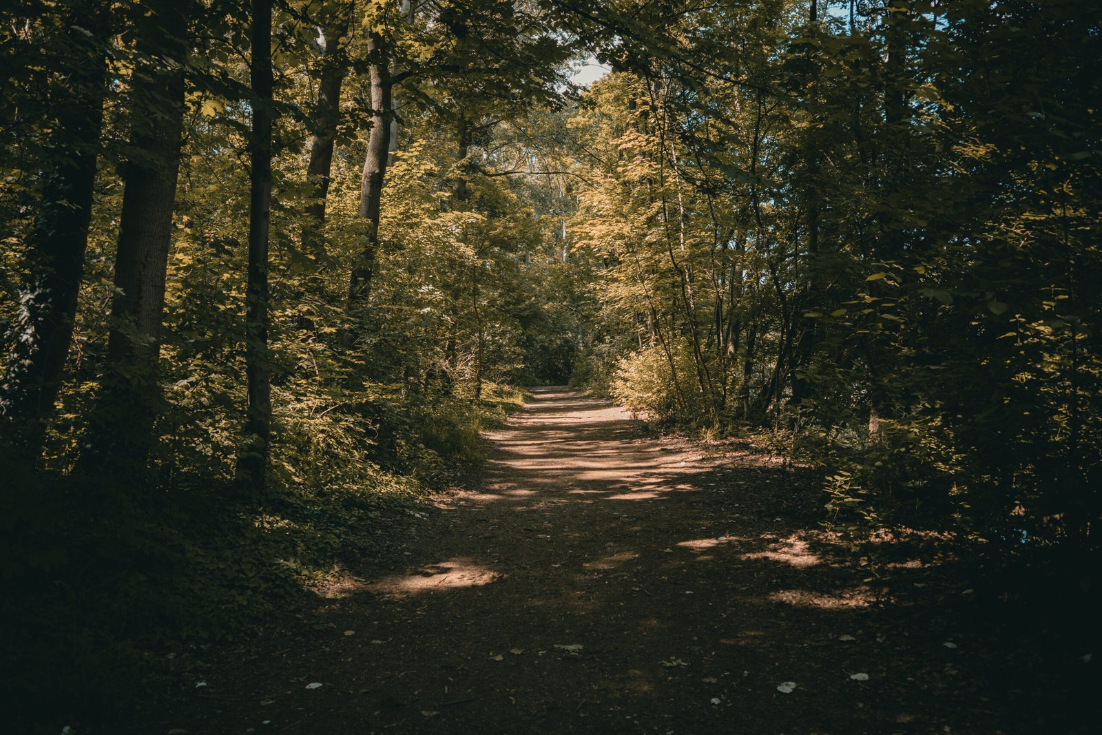 R0004838
