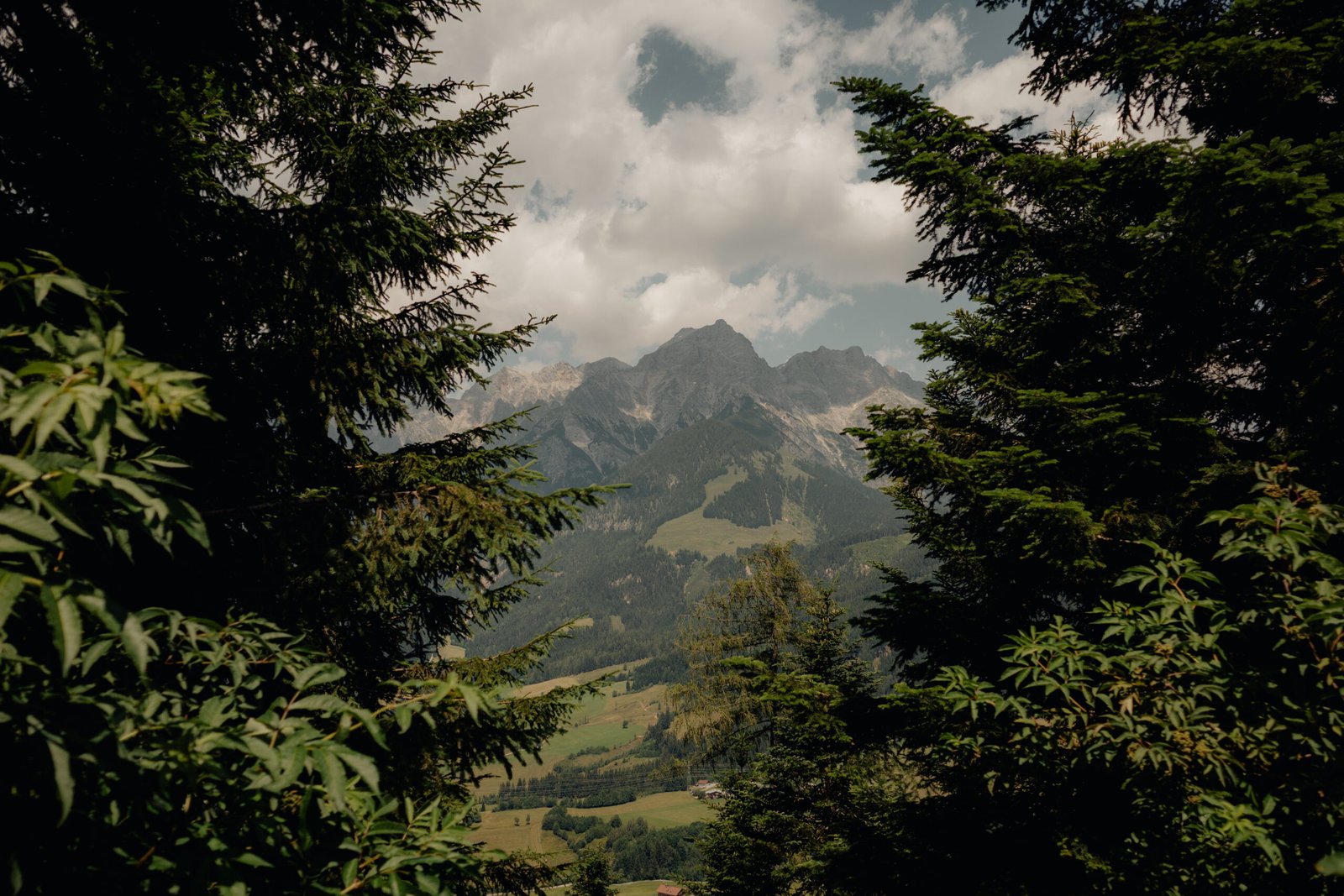 R0005022