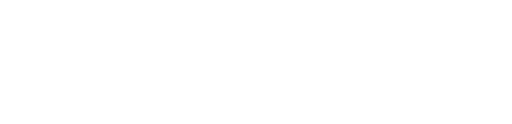 logo-transparent logo-transparent