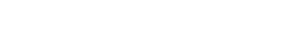 pilleve-logo pilleve-logo